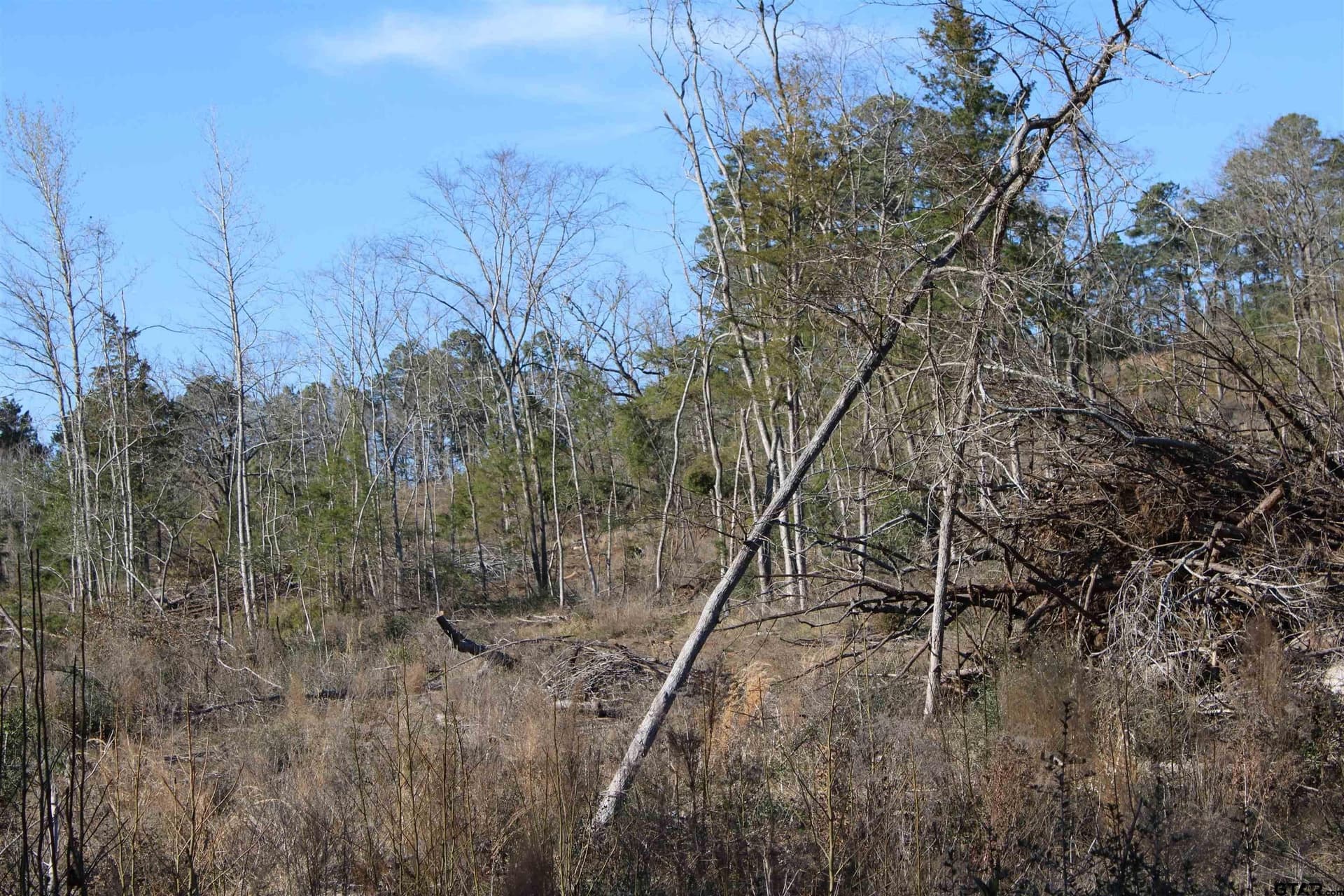 30 acres in Cherokee County featured view