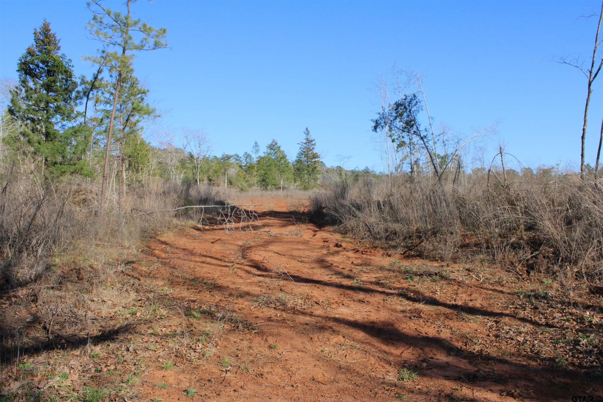 30 acres in Cherokee County gallery image 3
