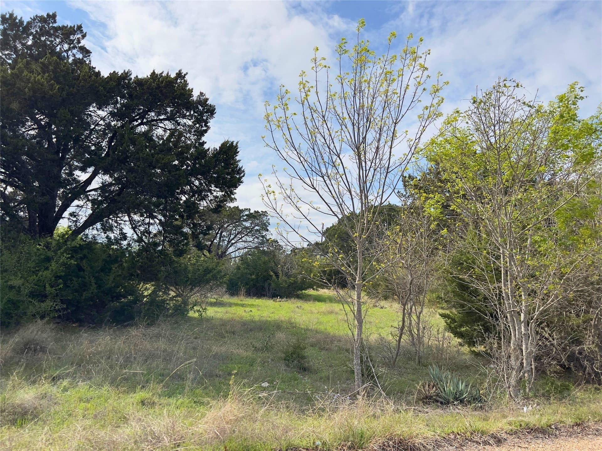 32.5 acres in Coryell County - photo 9
