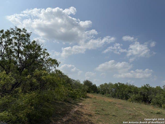 11.5 acres in Gonzales County gallery image 4