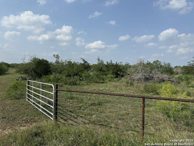 11.5 acres in Gonzales County gallery image 3