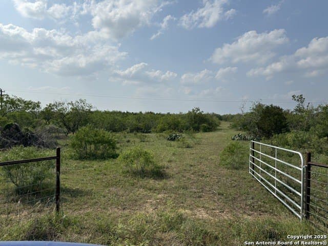 11.5 acres in Gonzales County gallery image 2