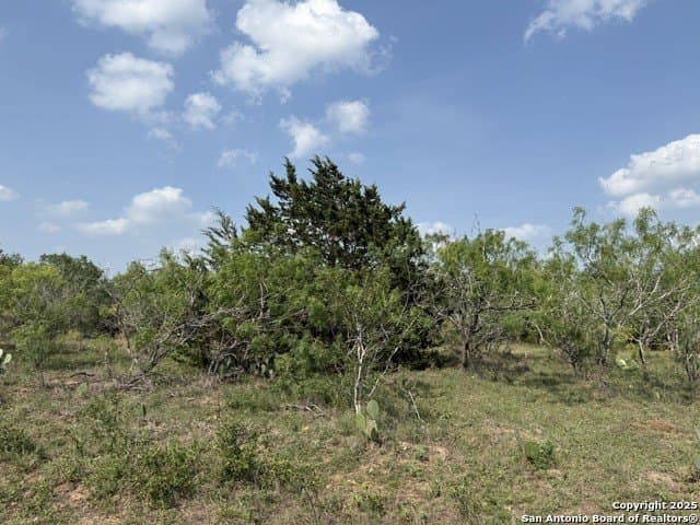 11.5 acres in Gonzales County featured view