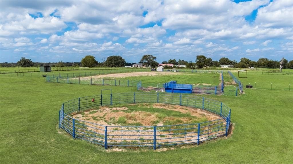 10 acres in Rains County gallery image 4