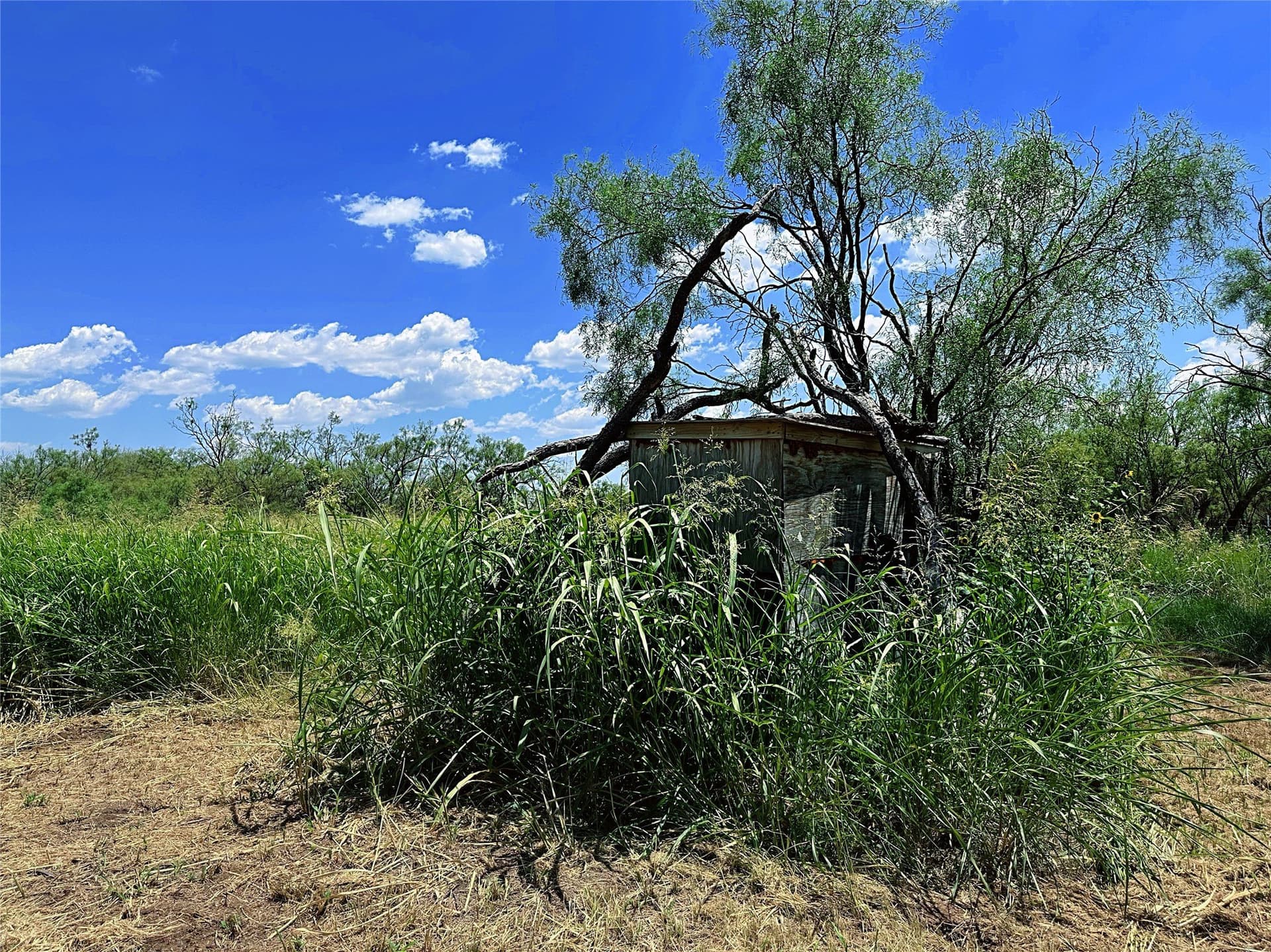 15 acres in Jones County - photo 8
