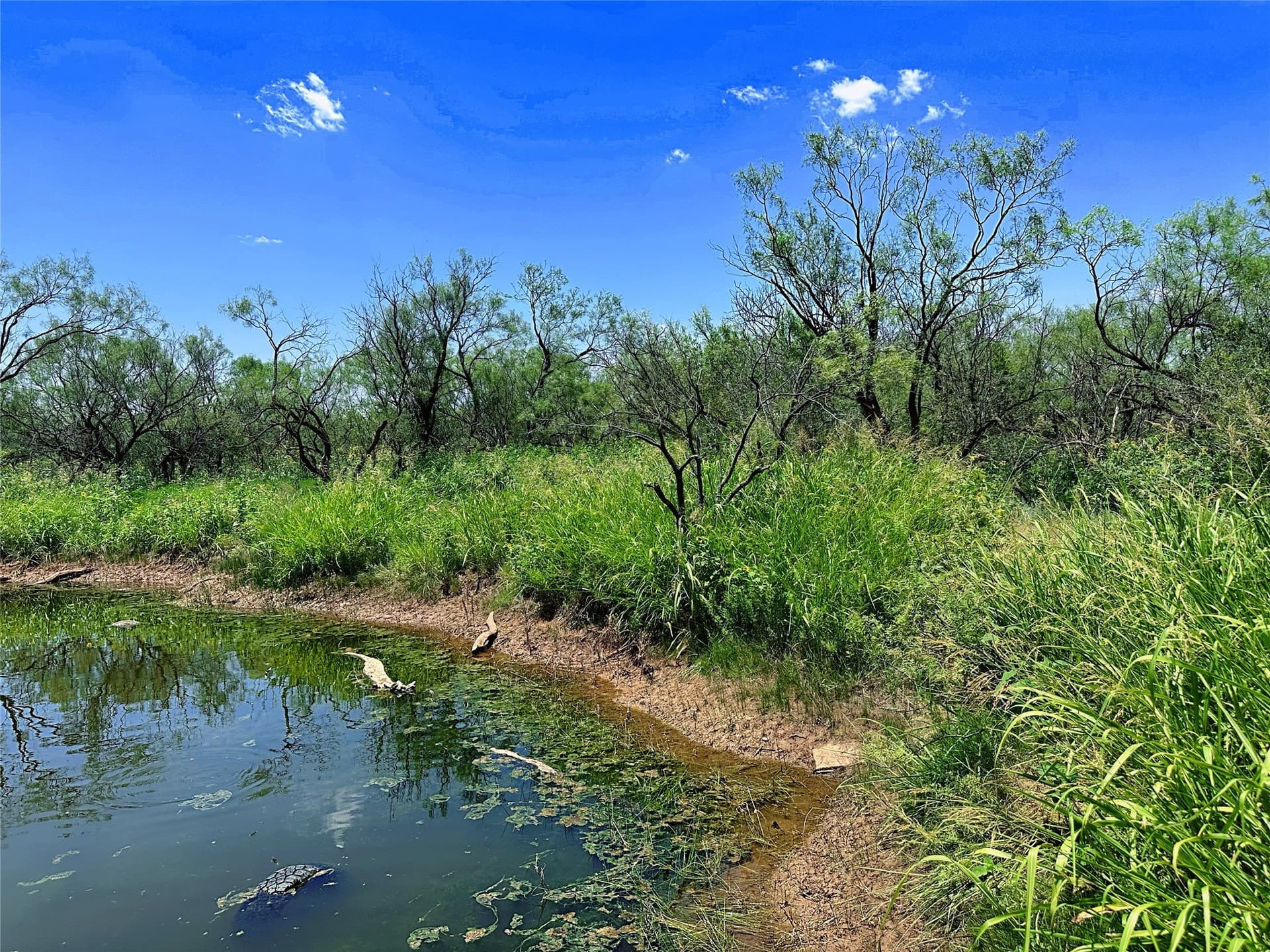 15 acres in Jones County - photo 2