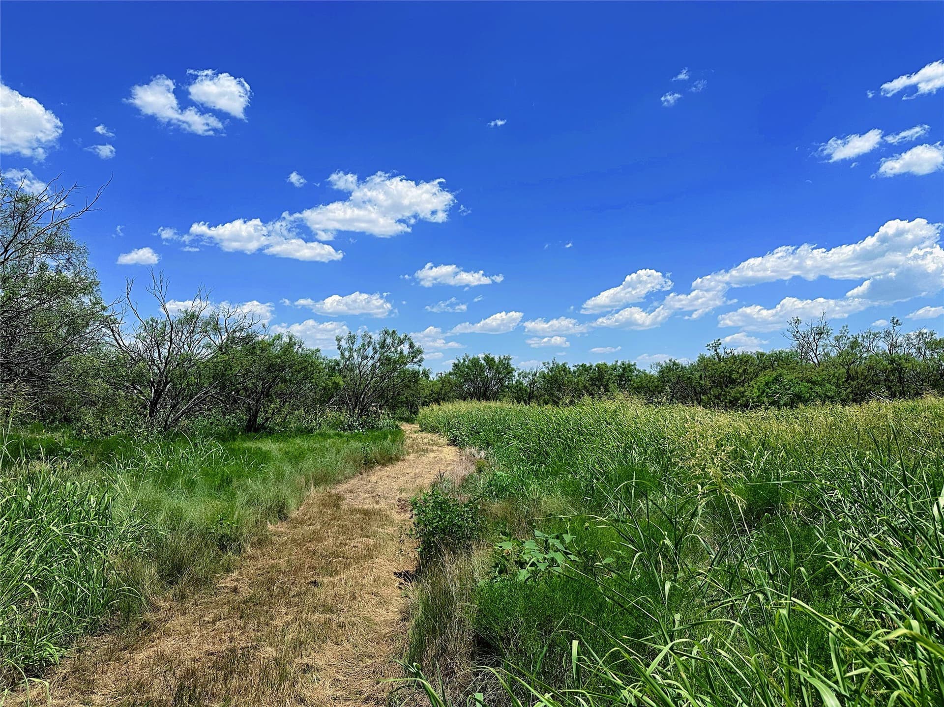 15 acres in Jones County - photo 6