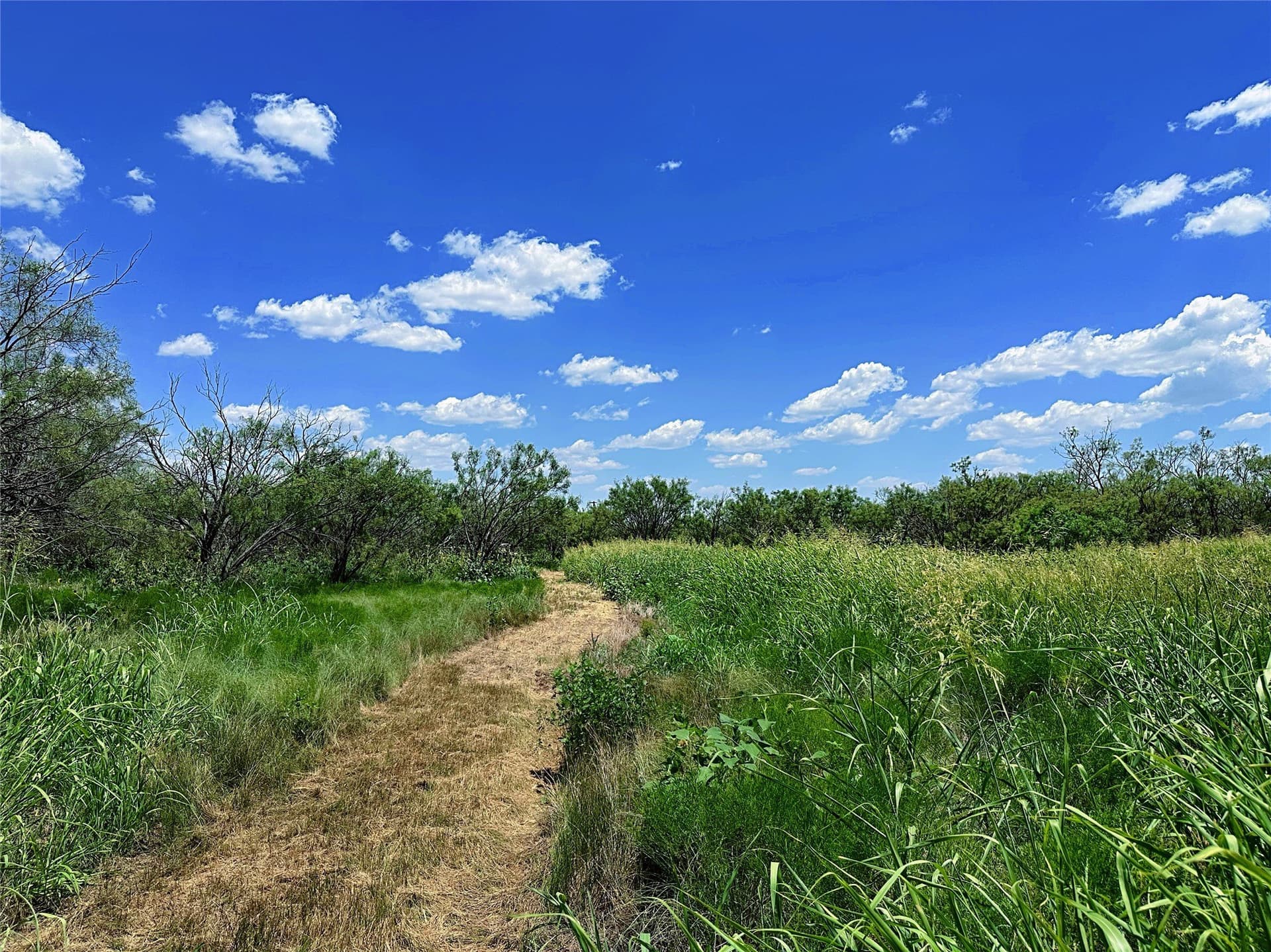 15 acres in Jones County - photo 9