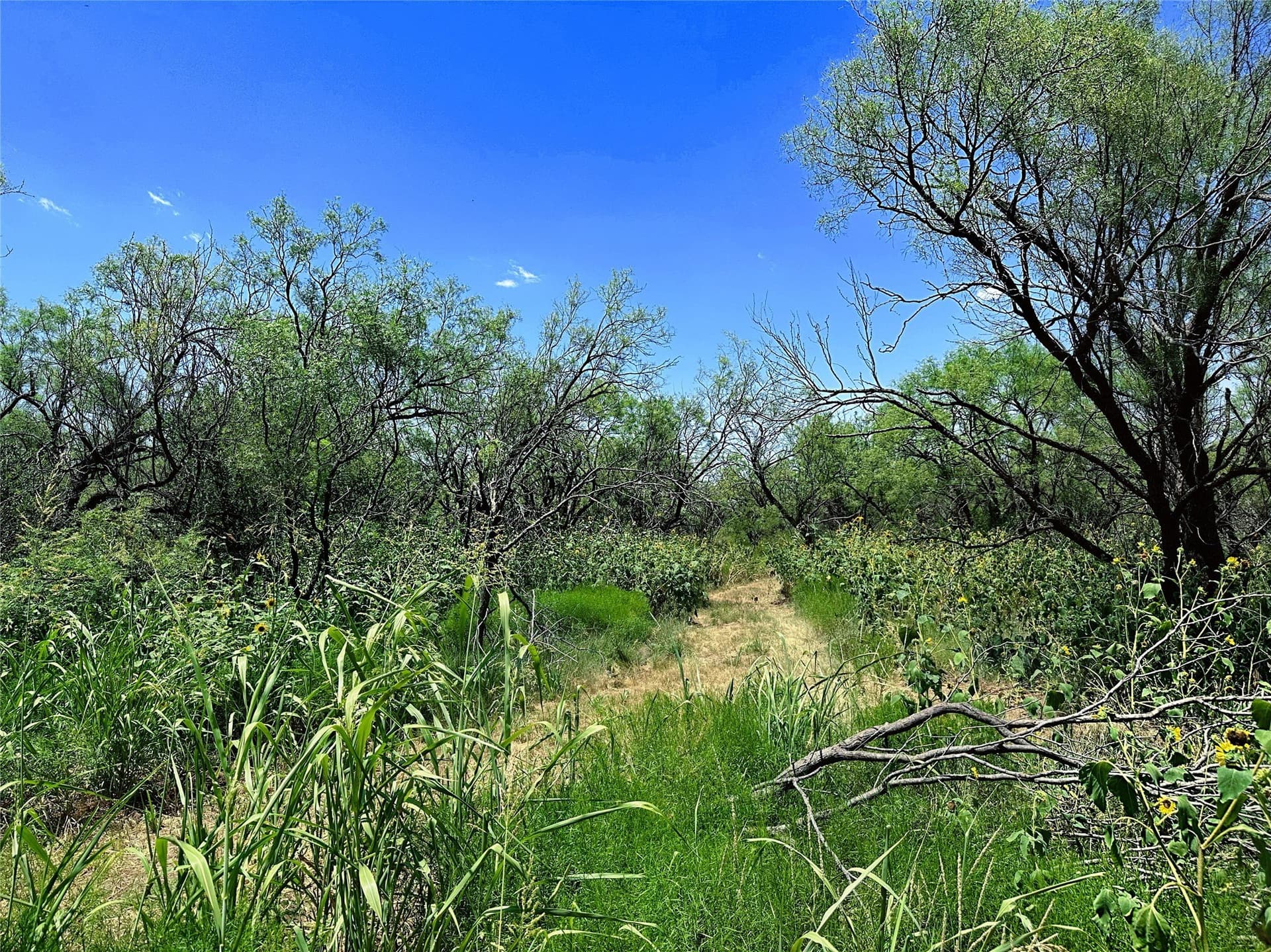 15 acres in Jones County - photo 5