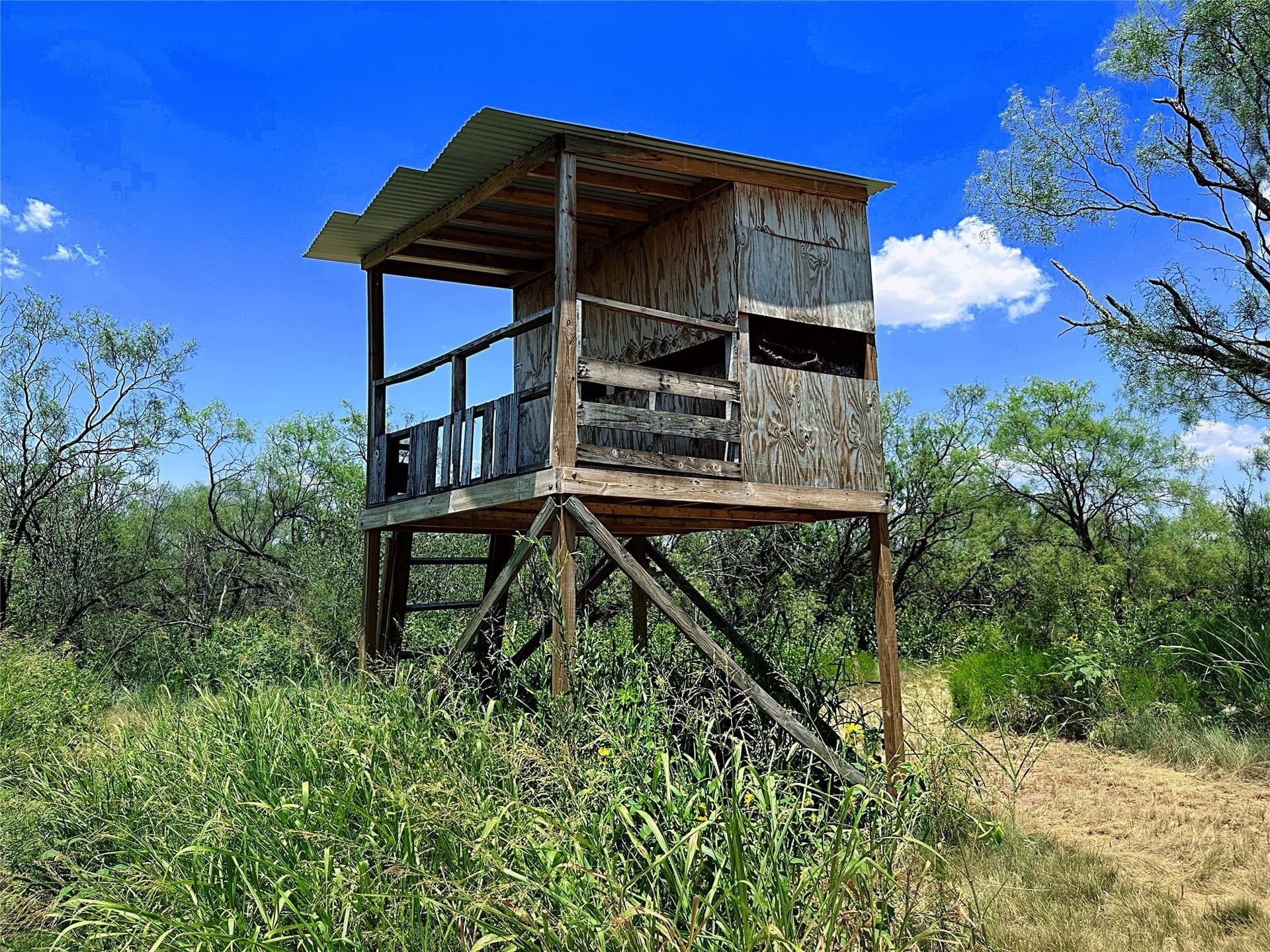 15 acres in Jones County - photo 4