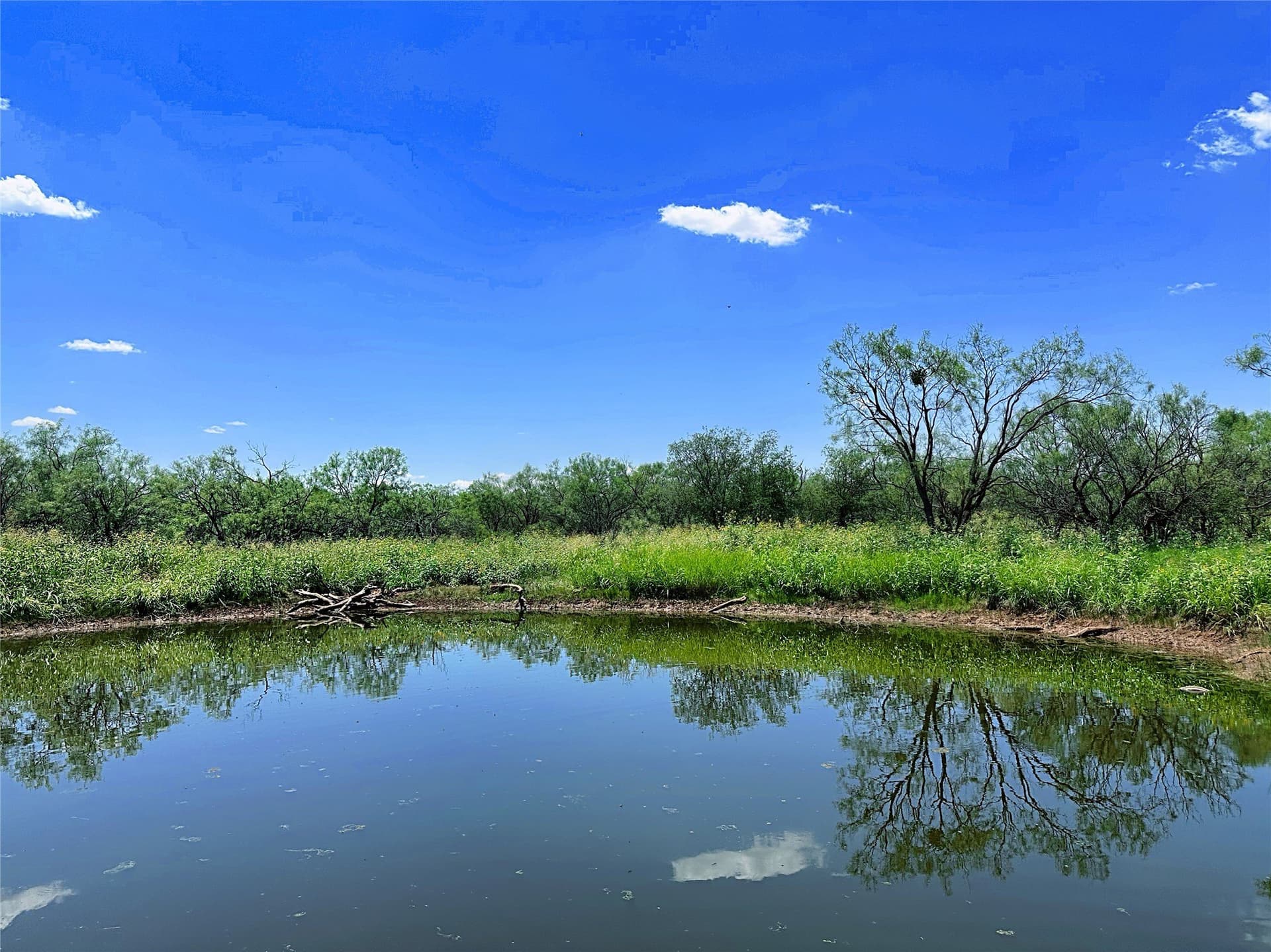 15 acres in Jones County