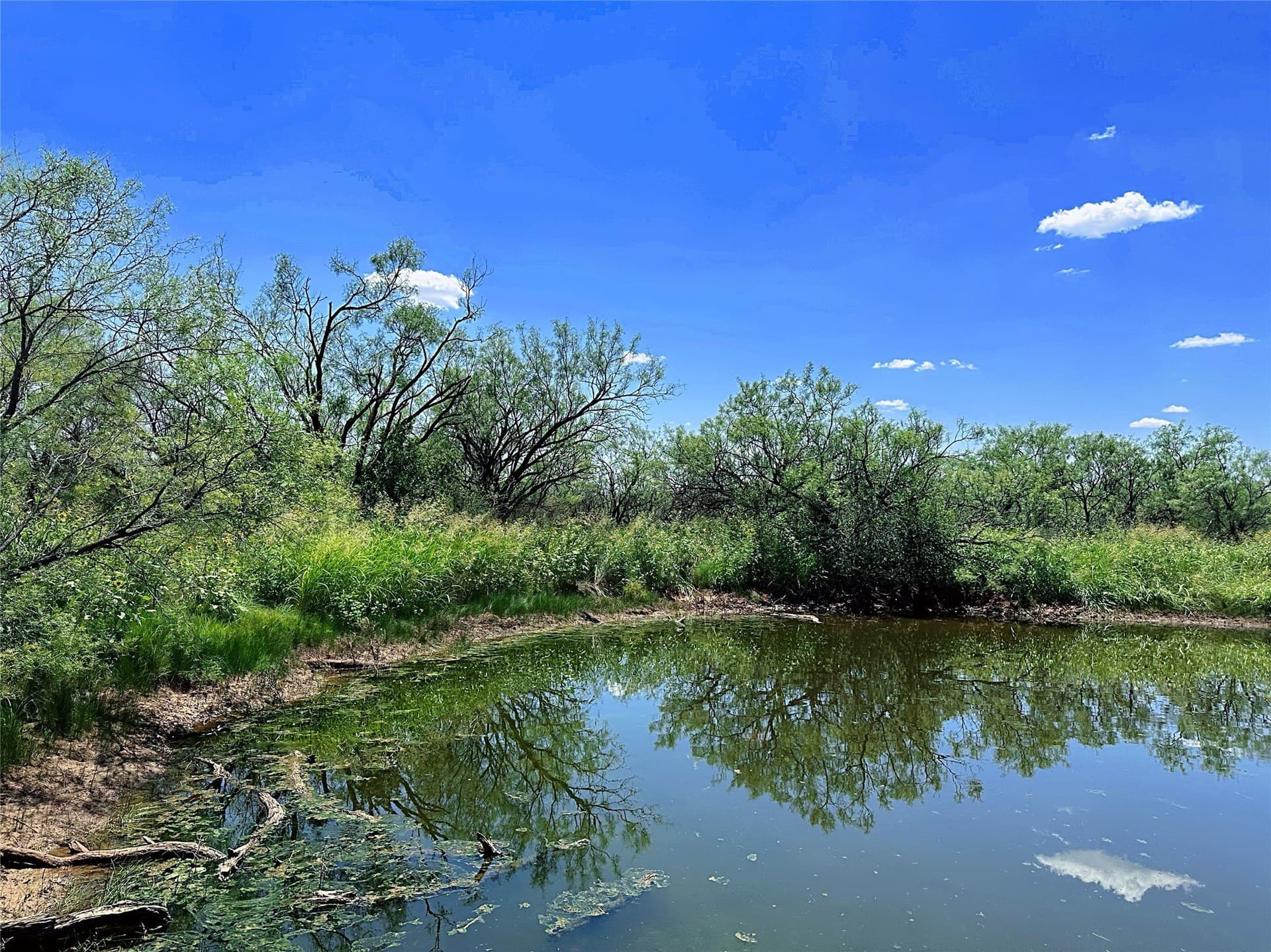 15 acres in Jones County - photo 3