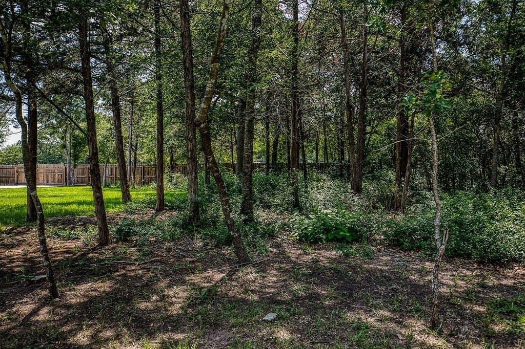 1 acres in Burleson County - photo 24