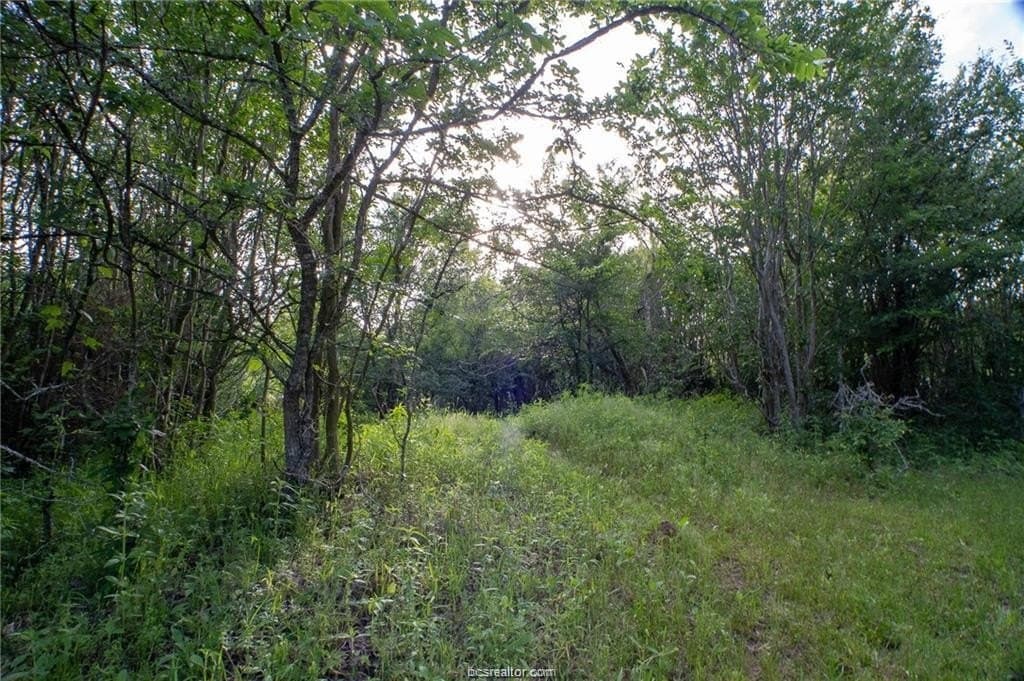 69.08 acres in Robertson County - photo 10