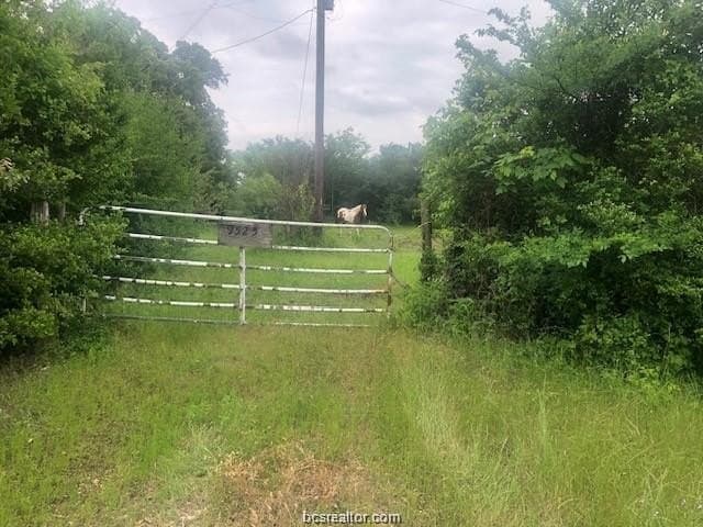 69.08 acres in Robertson County - photo 11