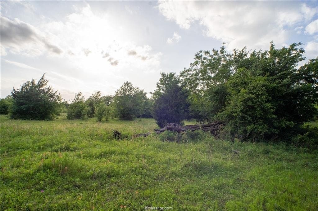 69.08 acres in Robertson County - photo 7