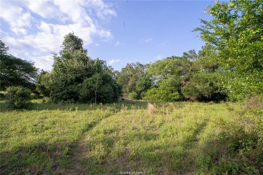 69.08 acres in Robertson County - photo 6