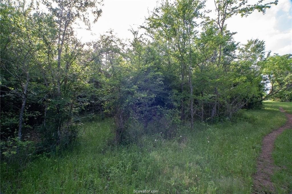 69.08 acres in Robertson County - photo 9