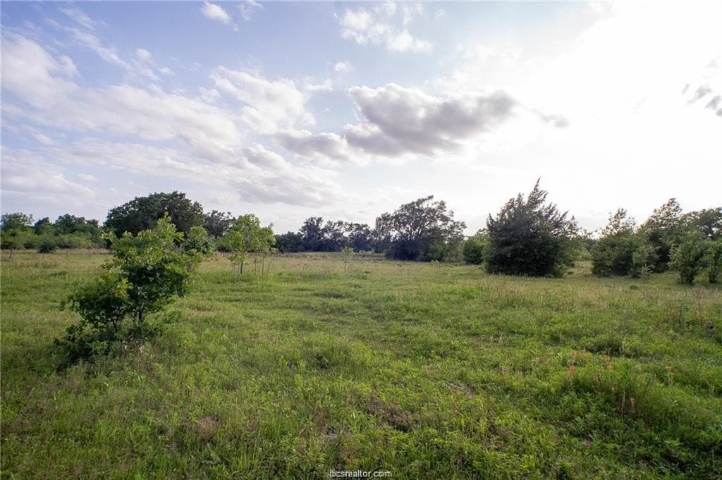 69.08 acres in Robertson County - photo 8