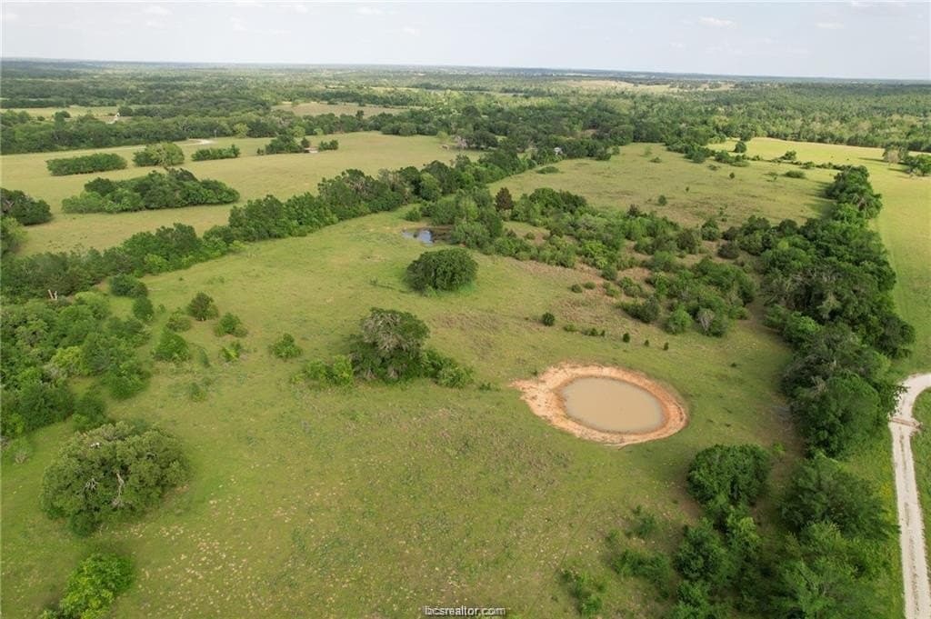 69.08 acres in Robertson County - photo 17