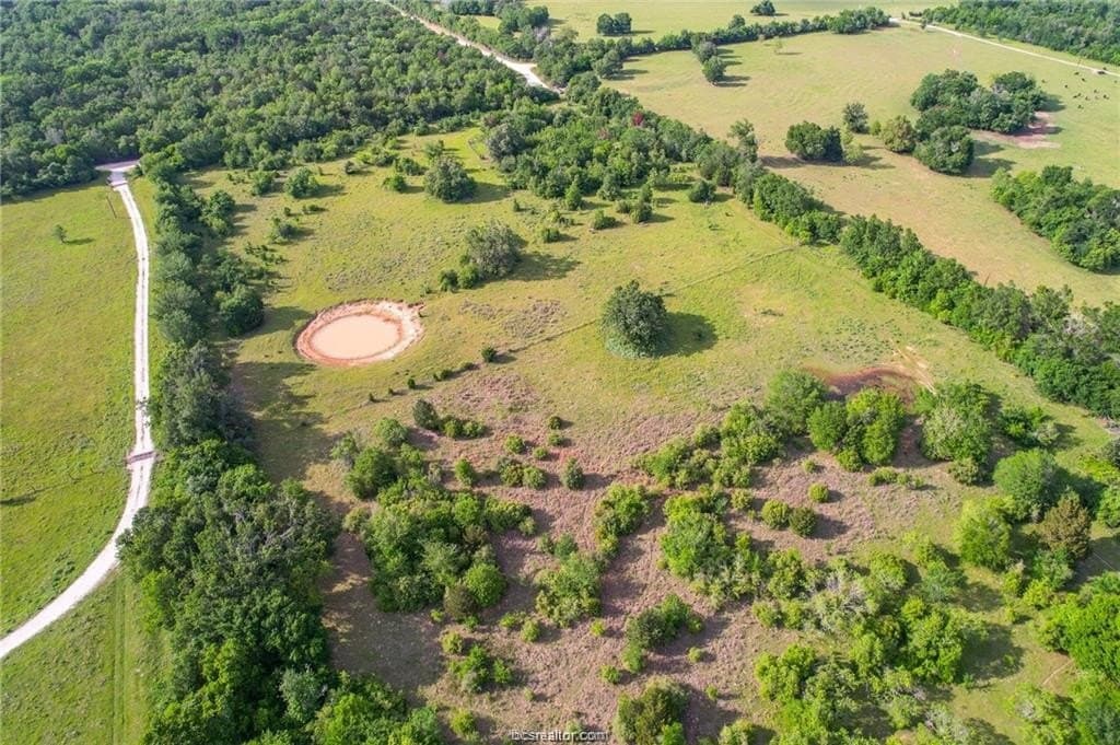 69.08 acres in Robertson County - photo 15
