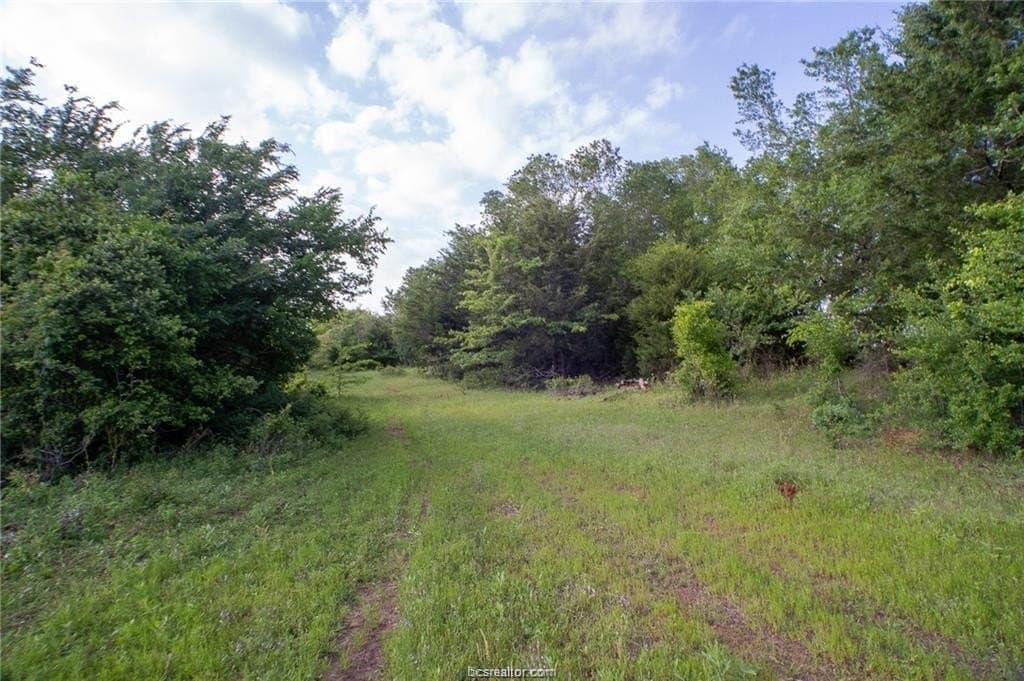 69.08 acres in Robertson County - photo 12