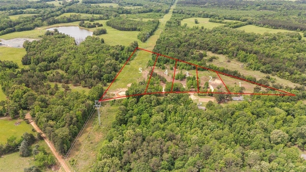 1 acres in Panola County gallery image 2