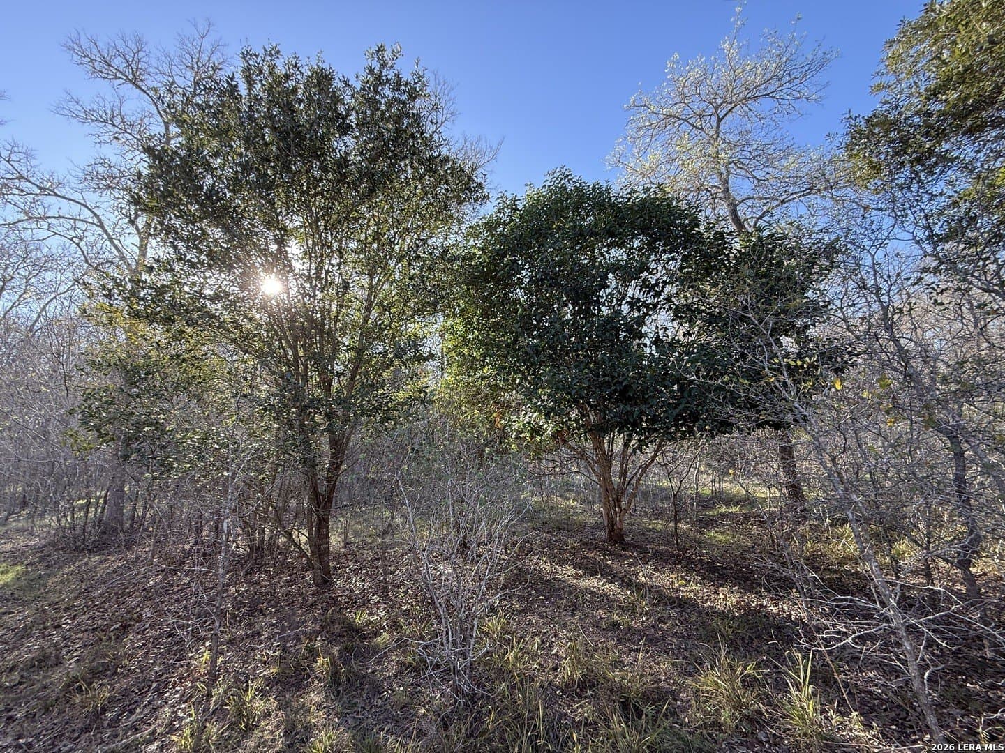 29.5 acres in Guadalupe County - photo 18