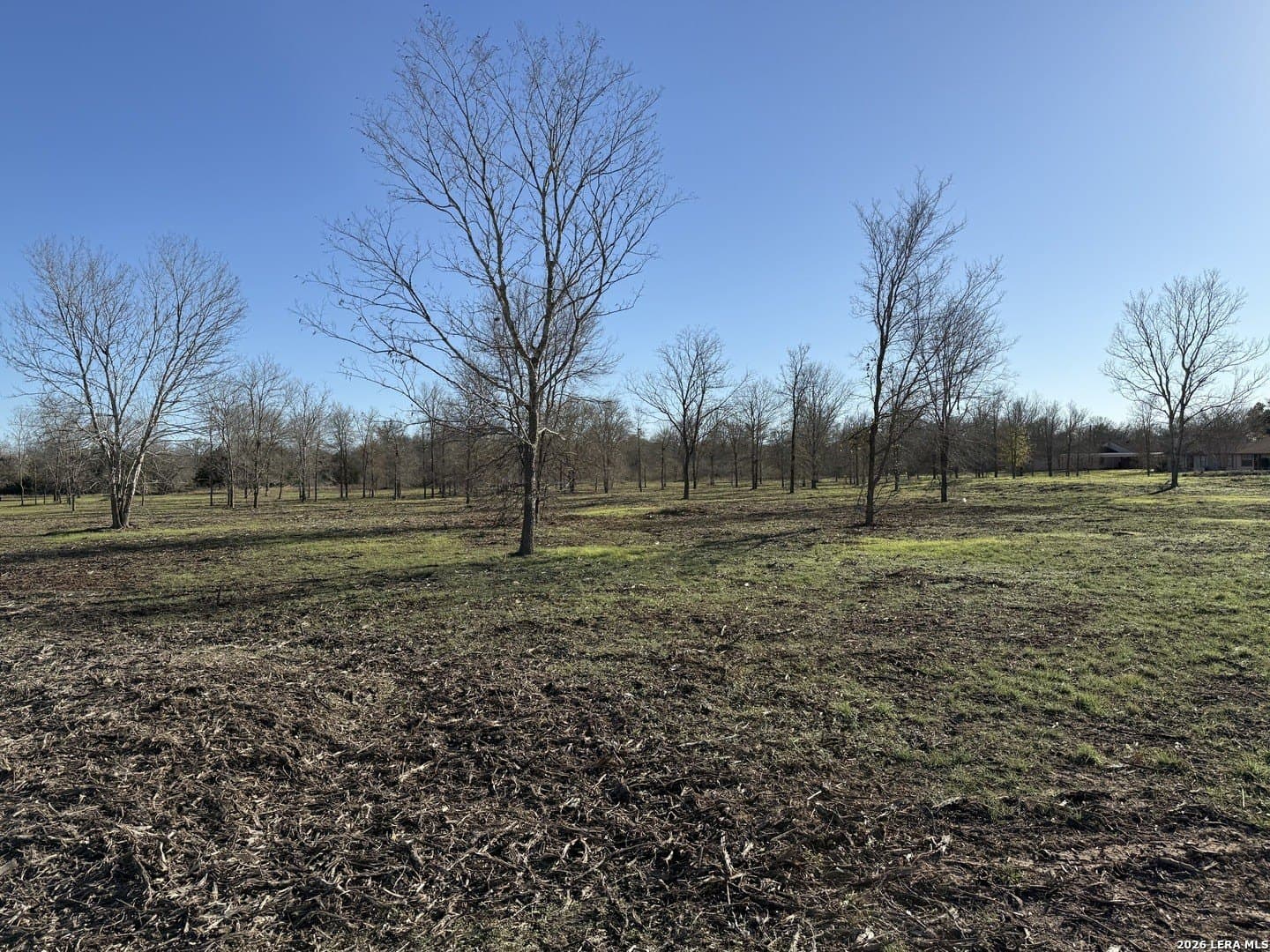 29.5 acres in Guadalupe County featured view