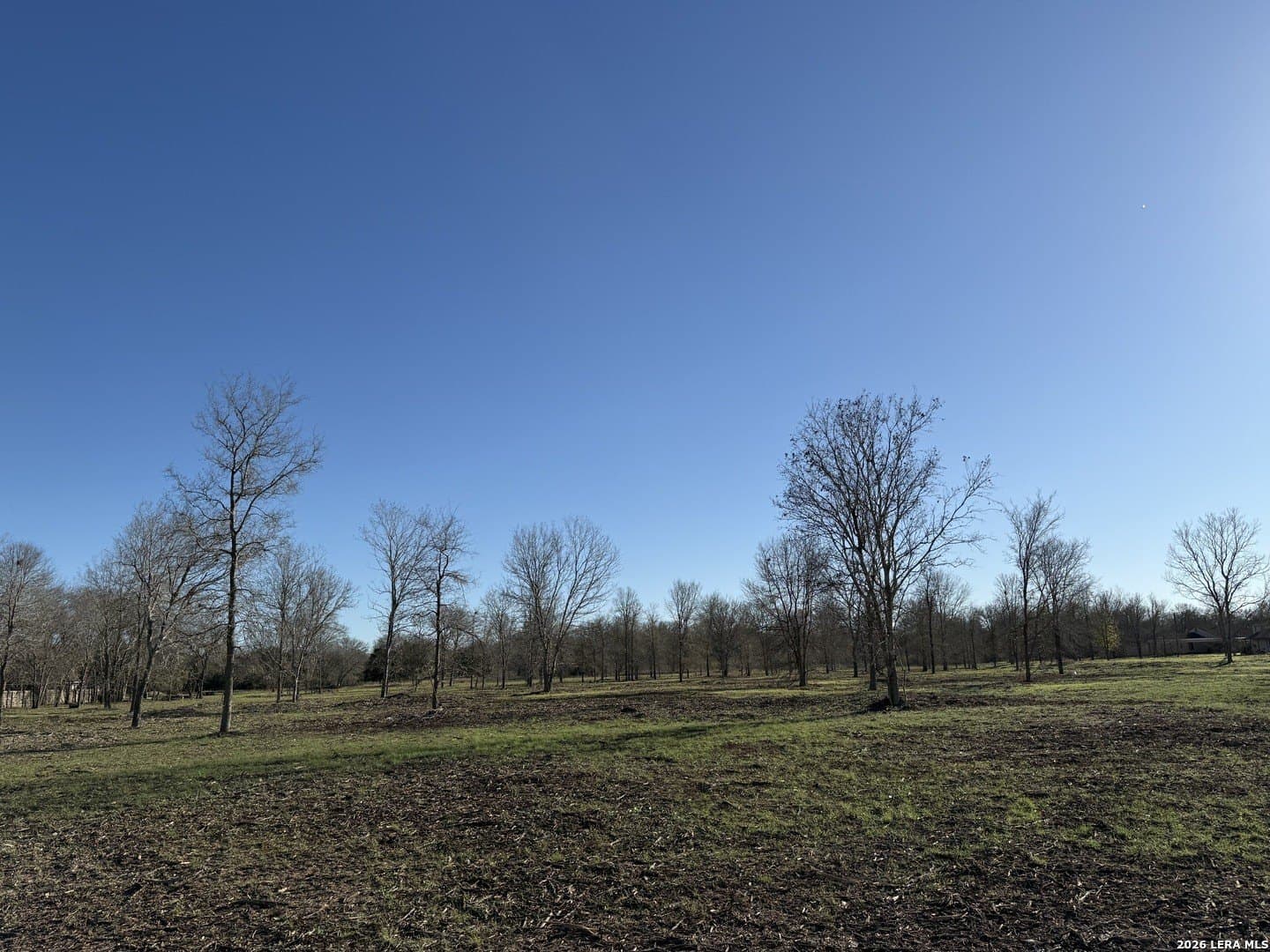 29.5 acres in Guadalupe County gallery image 4