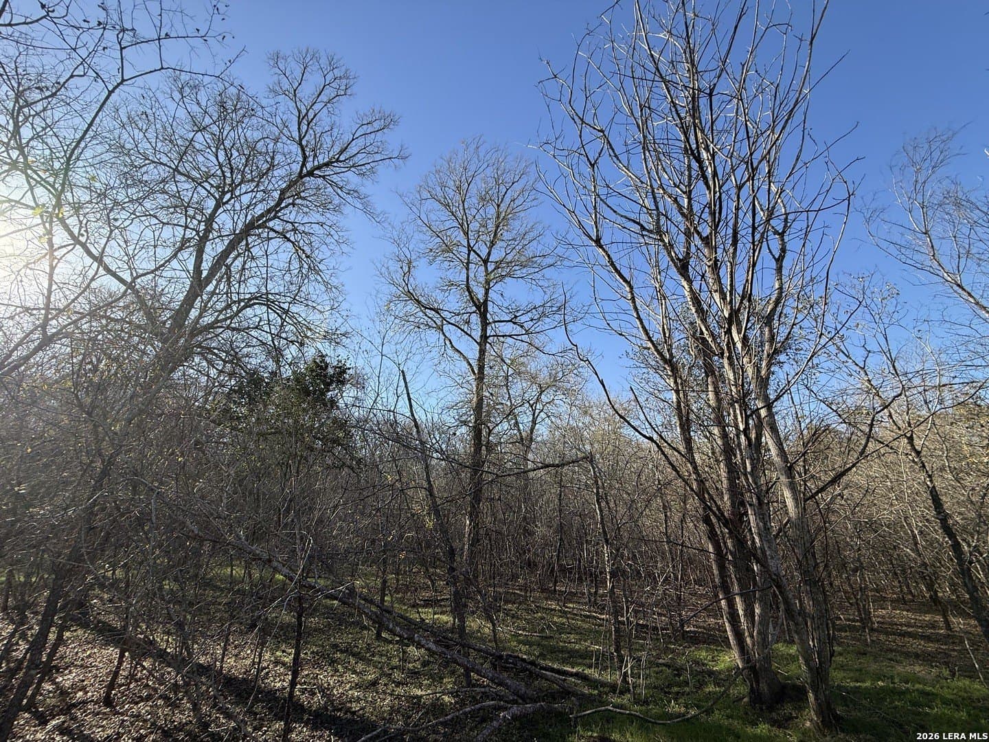 29.5 acres in Guadalupe County - photo 17