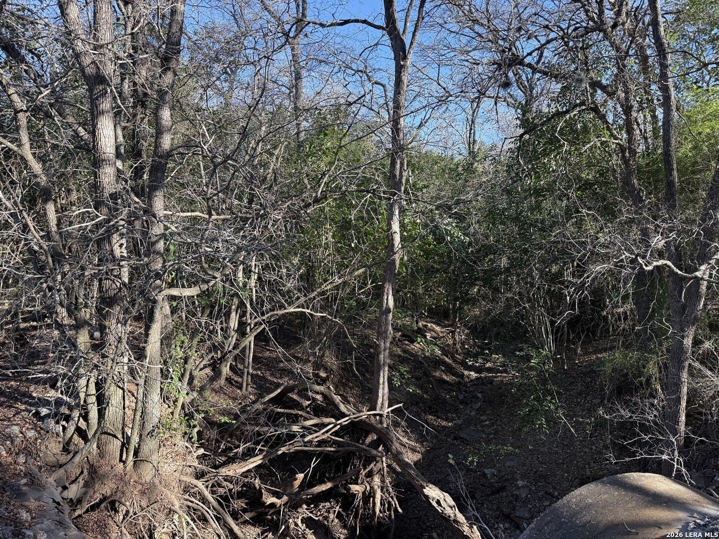 29.5 acres in Guadalupe County - photo 10