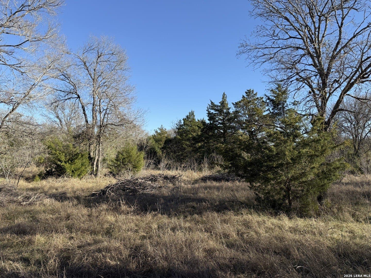 29.5 acres in Guadalupe County - photo 8