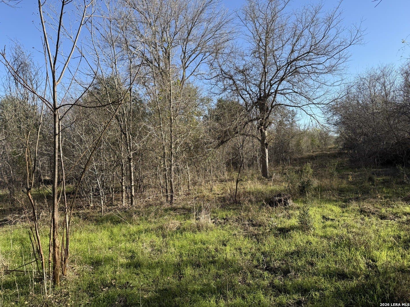 29.5 acres in Guadalupe County - photo 14