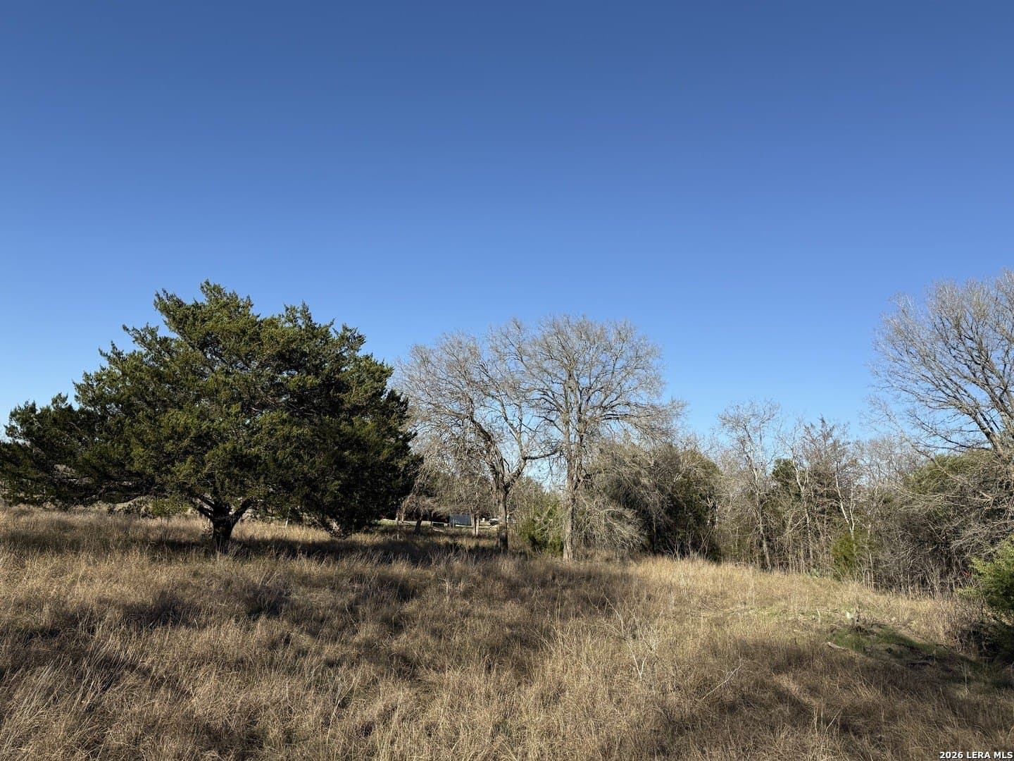 29.5 acres in Guadalupe County - photo 9