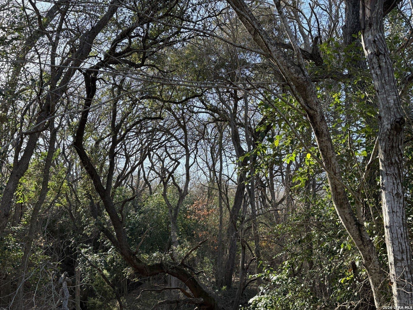 29.5 acres in Guadalupe County - photo 12