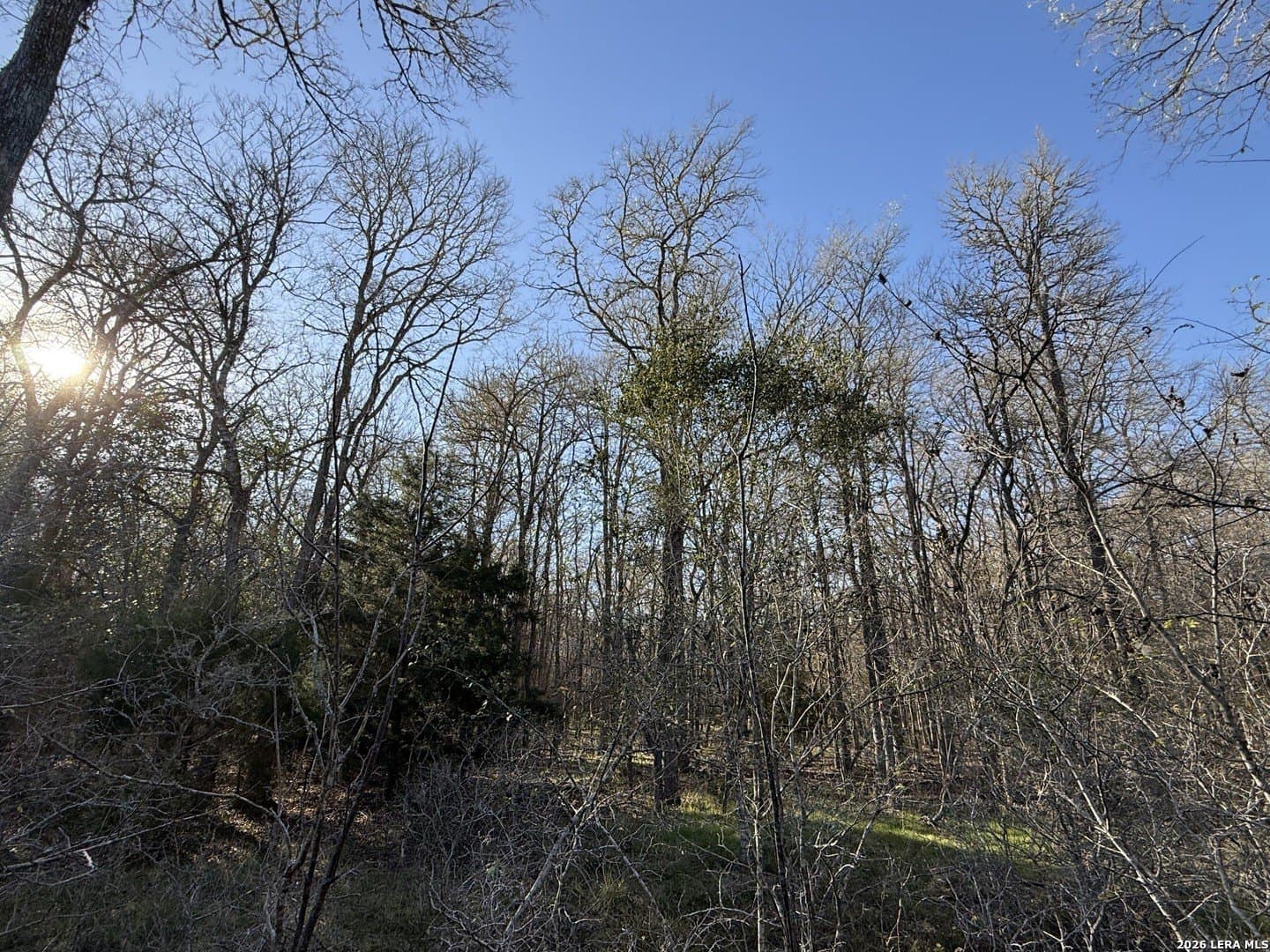 29.5 acres in Guadalupe County - photo 19