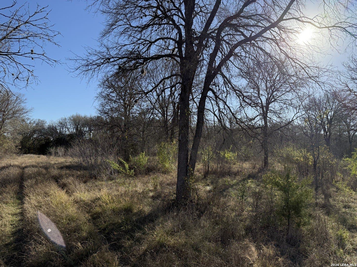29.5 acres in Guadalupe County - photo 7
