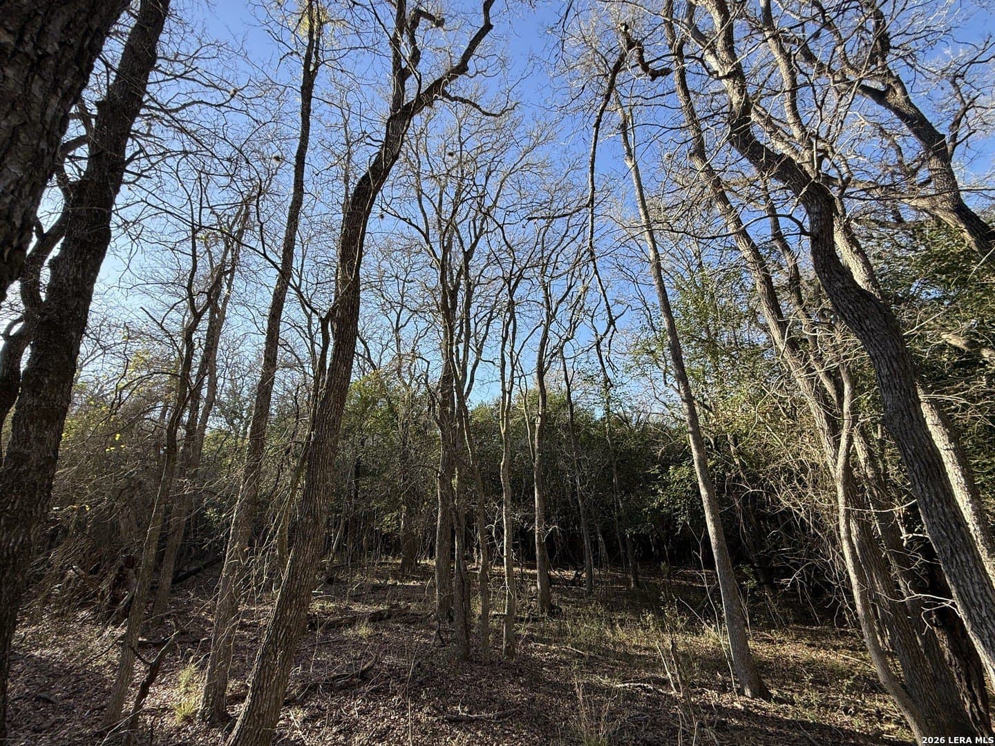 29.5 acres in Guadalupe County - photo 22