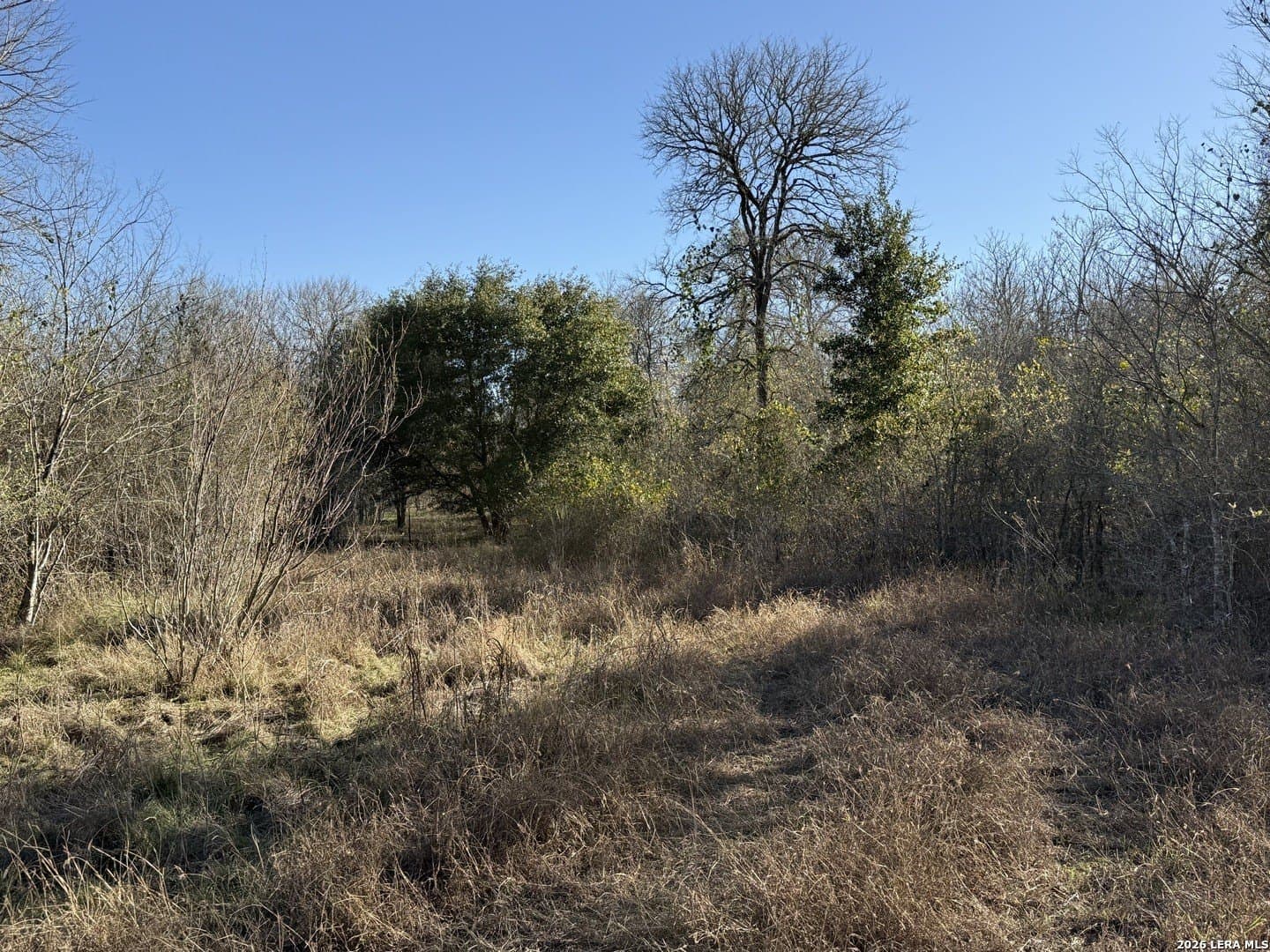 29.5 acres in Guadalupe County - photo 13