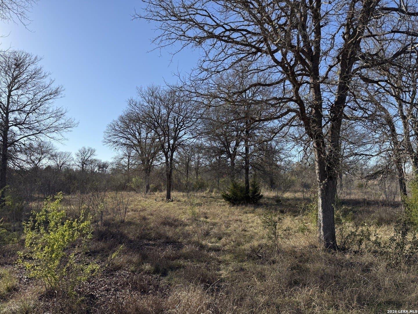 29.5 acres in Guadalupe County - photo 6