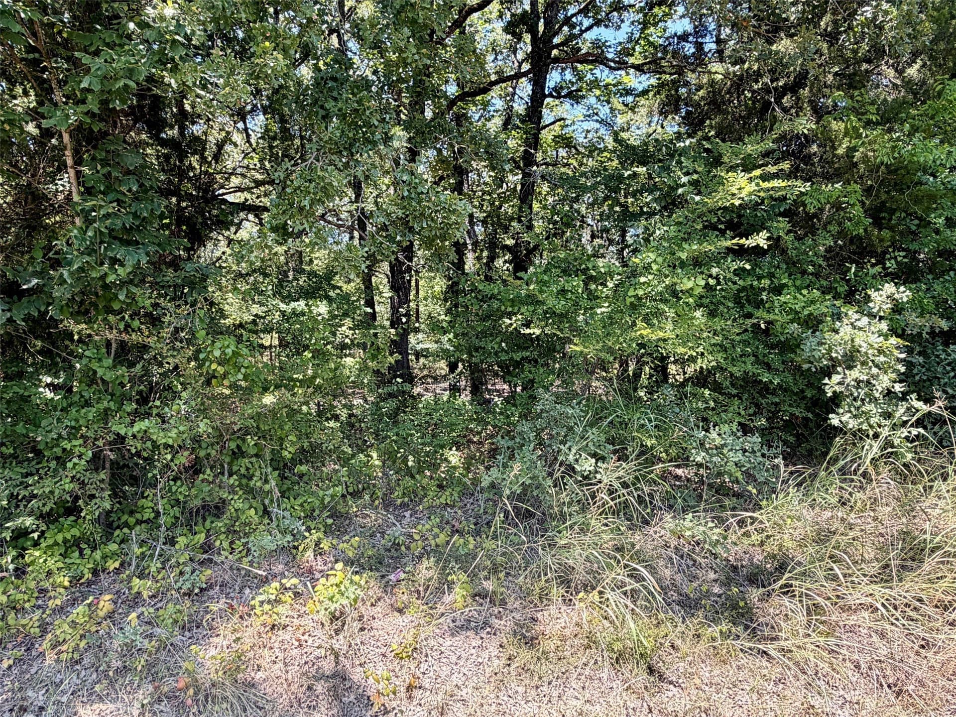 0.12 acres in Henderson County - photo 3