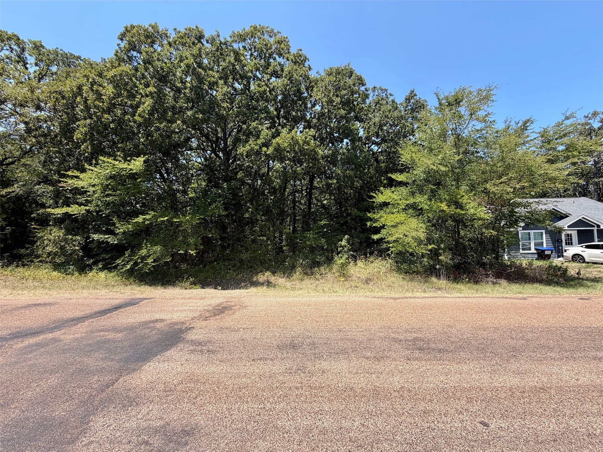0.12 acres in Henderson County - photo 4