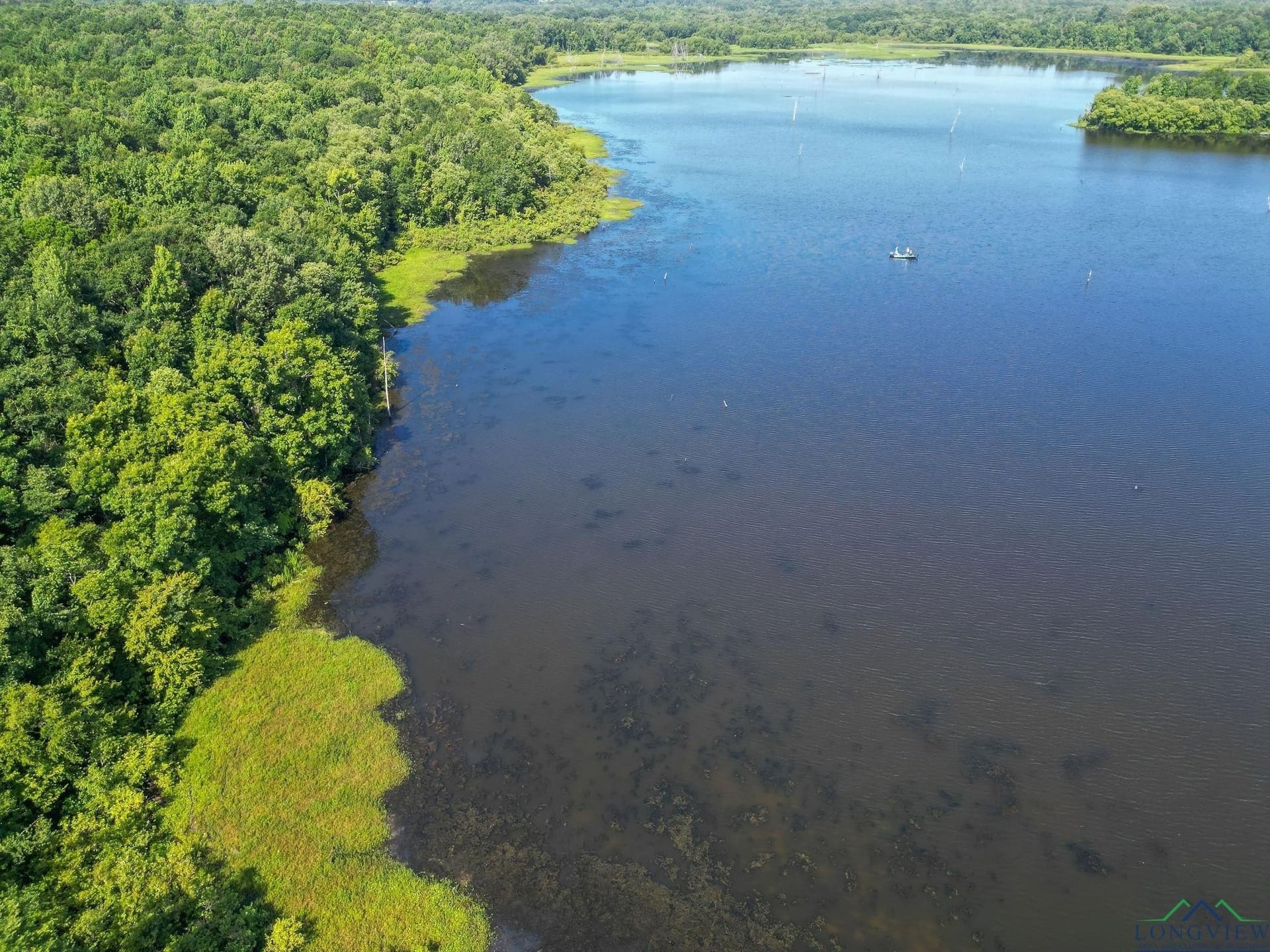 95.52 acres in Upshur County gallery image 3