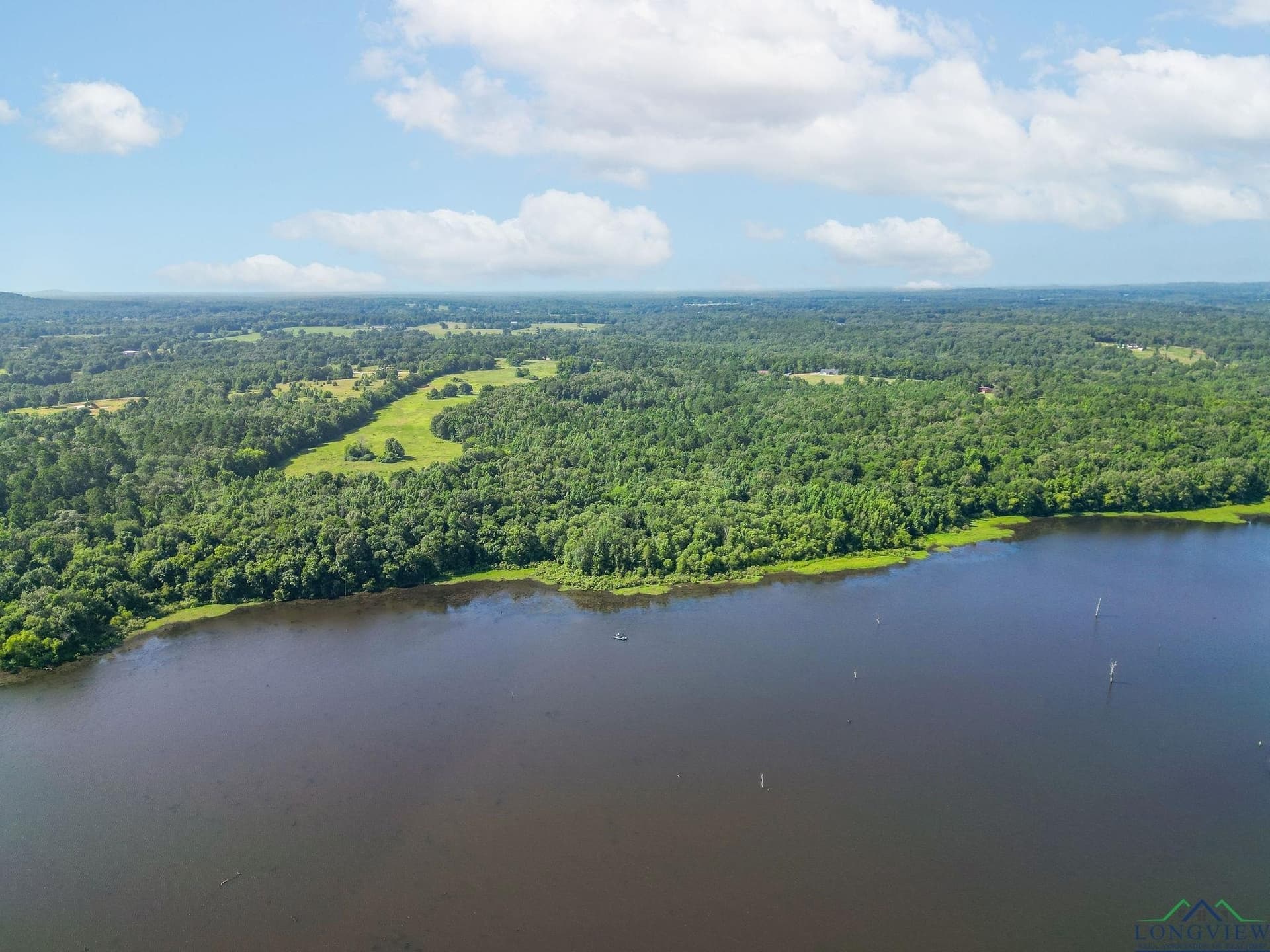 95.52 acres in Upshur County gallery image 2