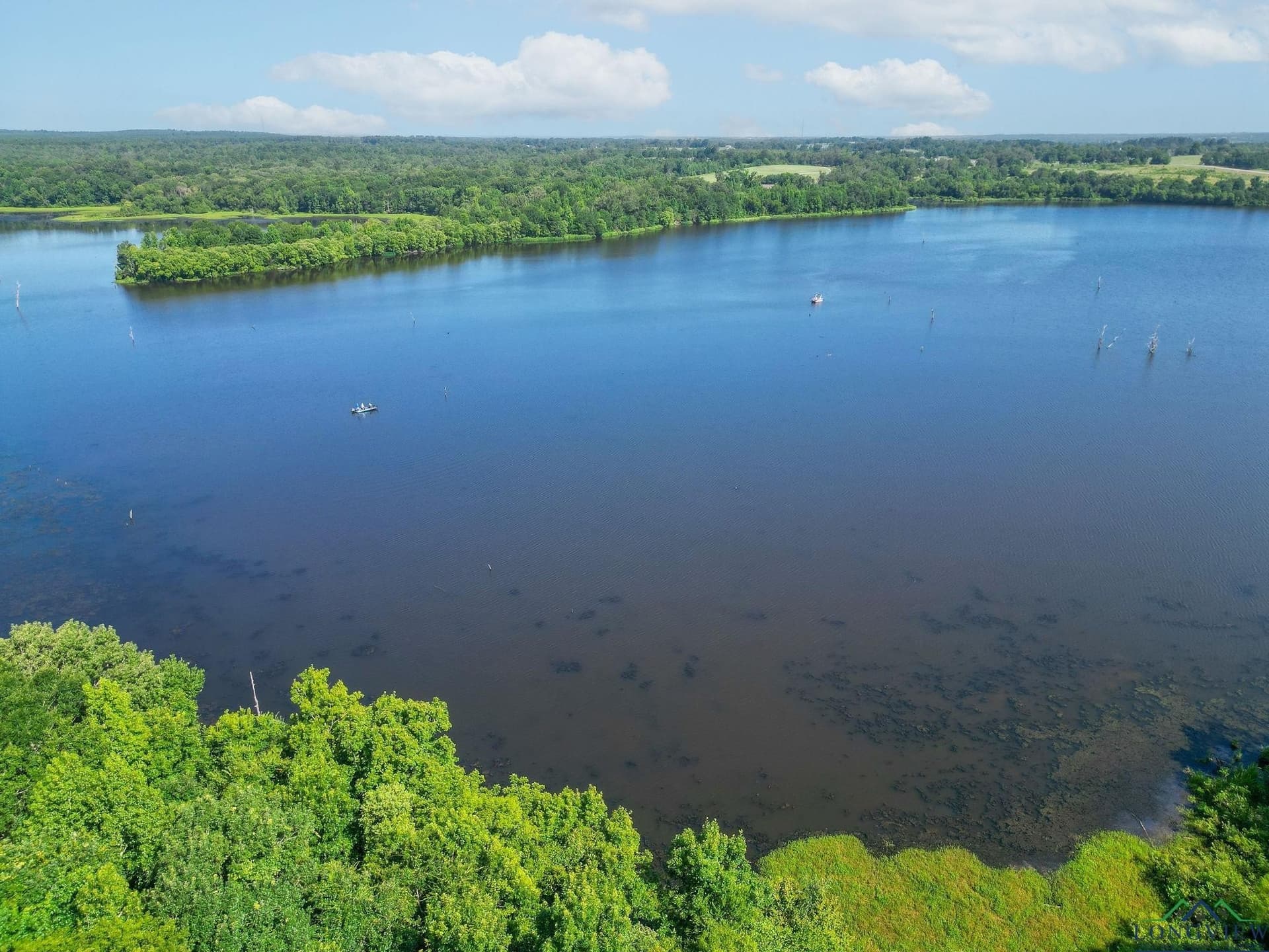 95.52 acres in Upshur County featured view