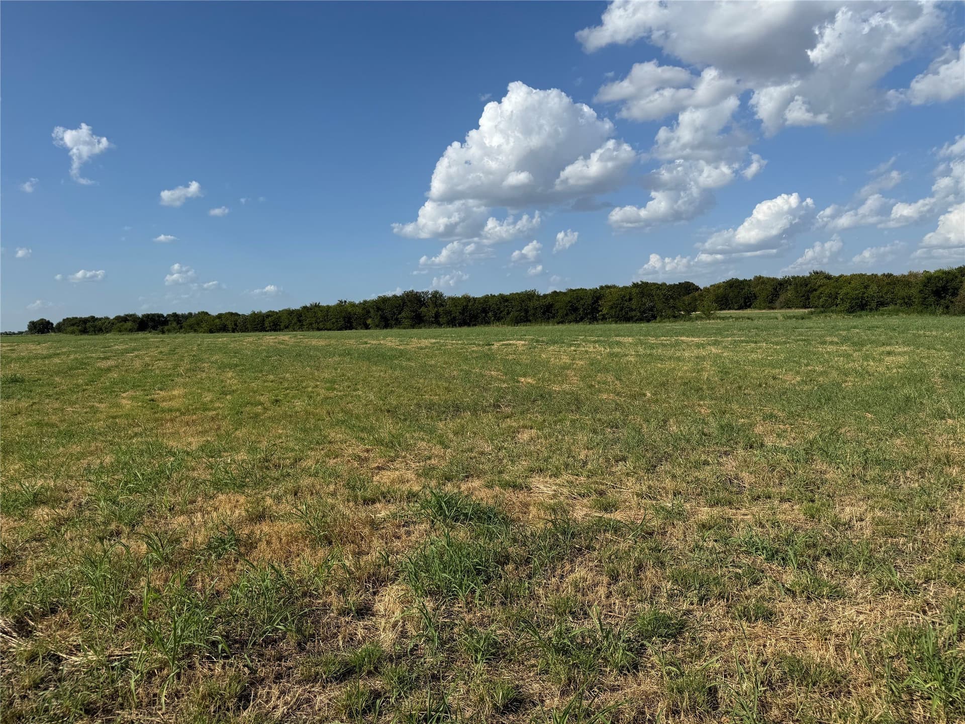 13.11 acres in Fannin County - photo 24