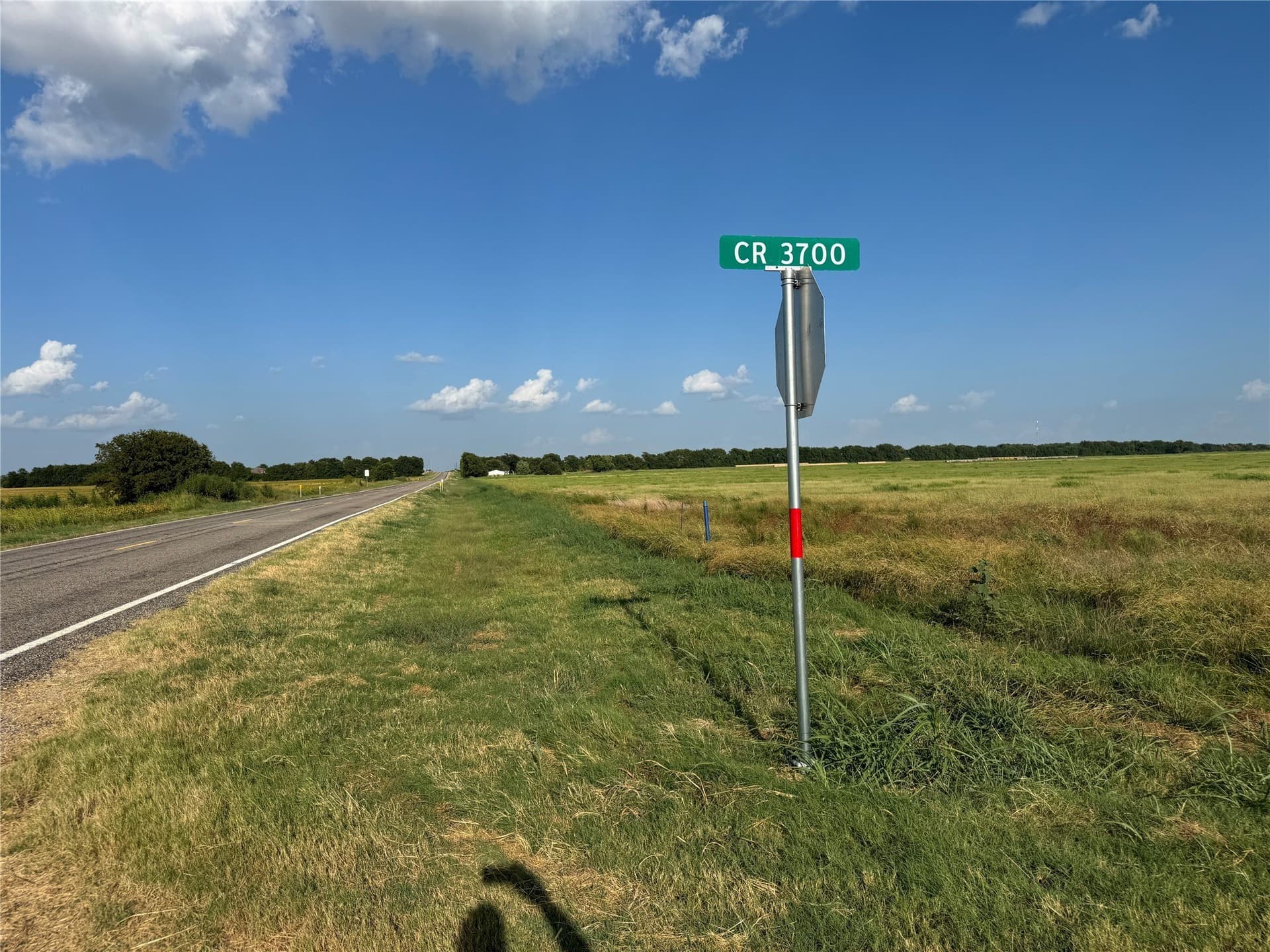 13.11 acres in Fannin County - photo 3