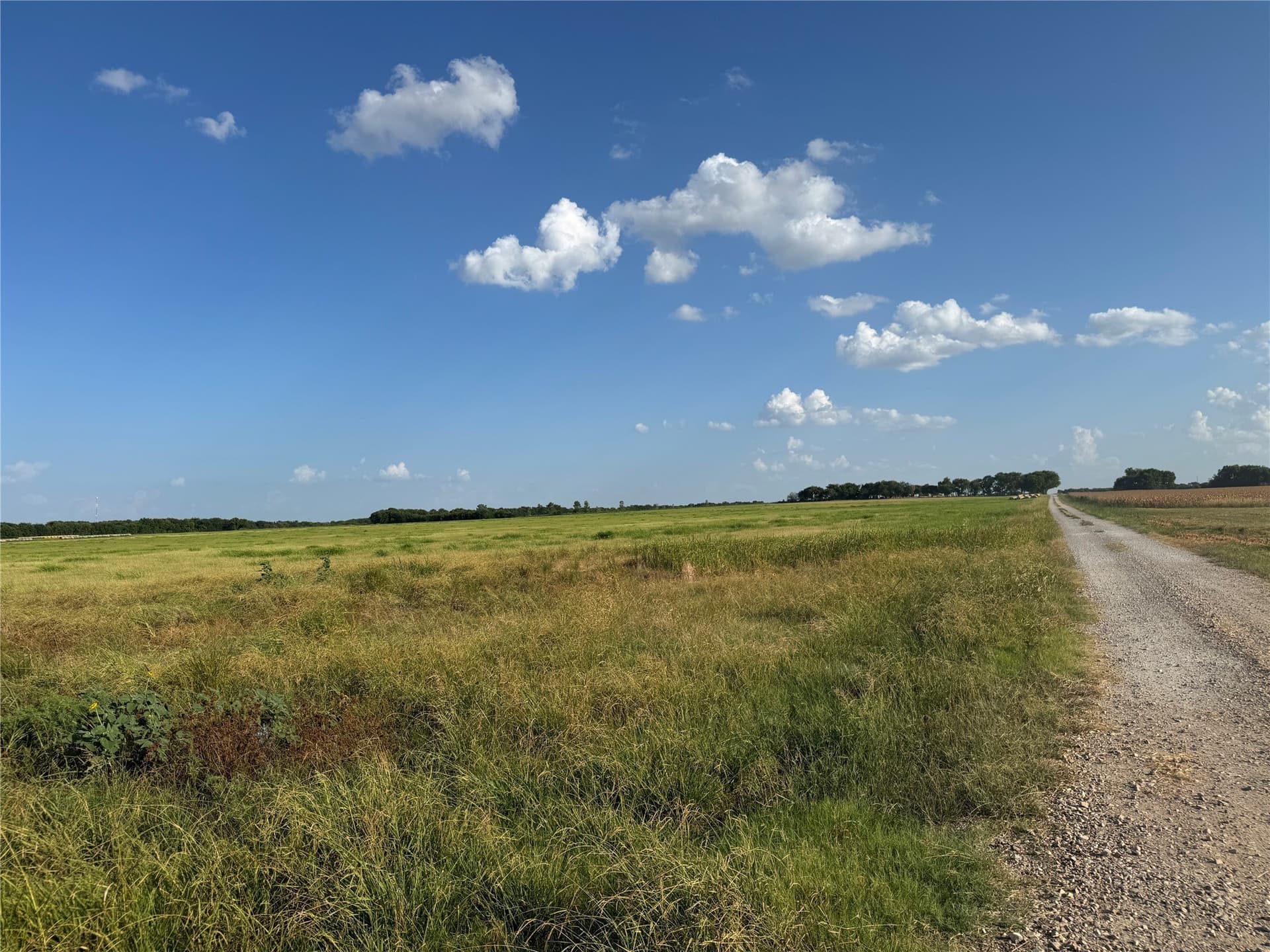 13.11 acres in Fannin County - photo 7
