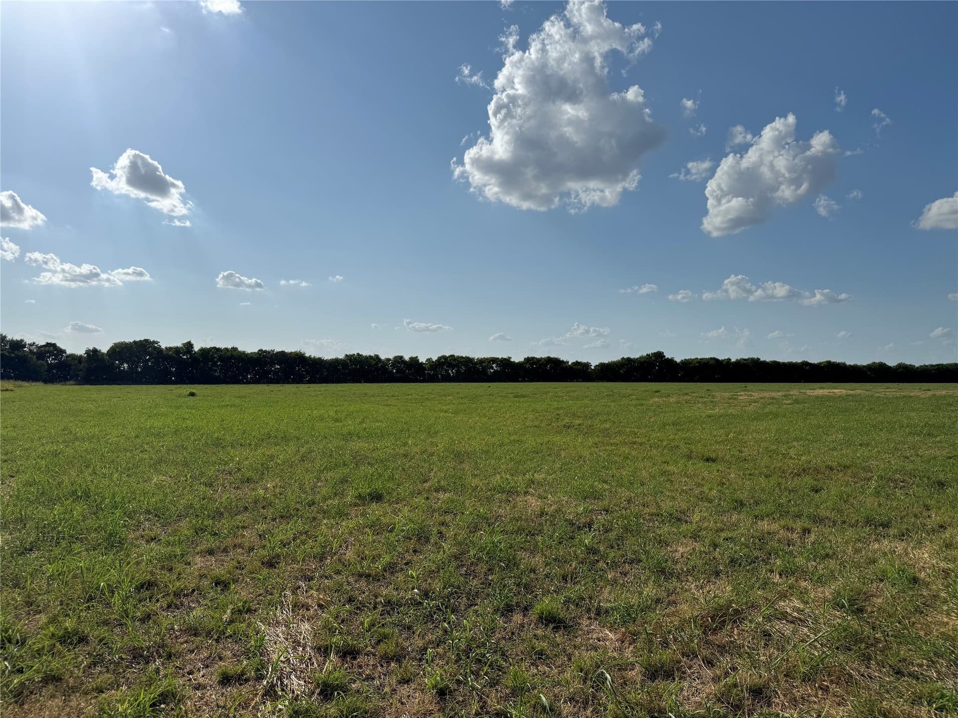 13.11 acres in Fannin County - photo 26